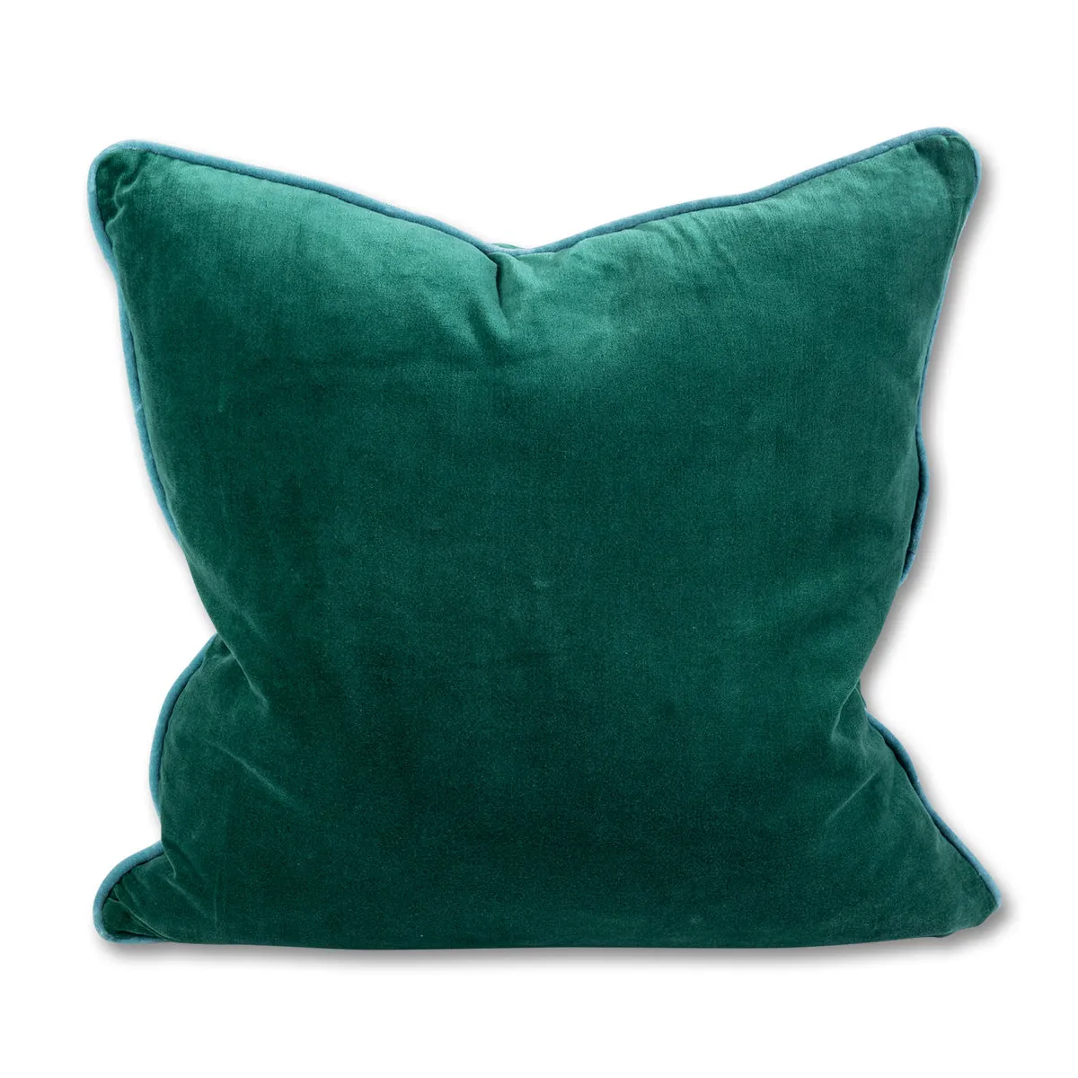 Charliss Velvet Pillow - Green   Aqua