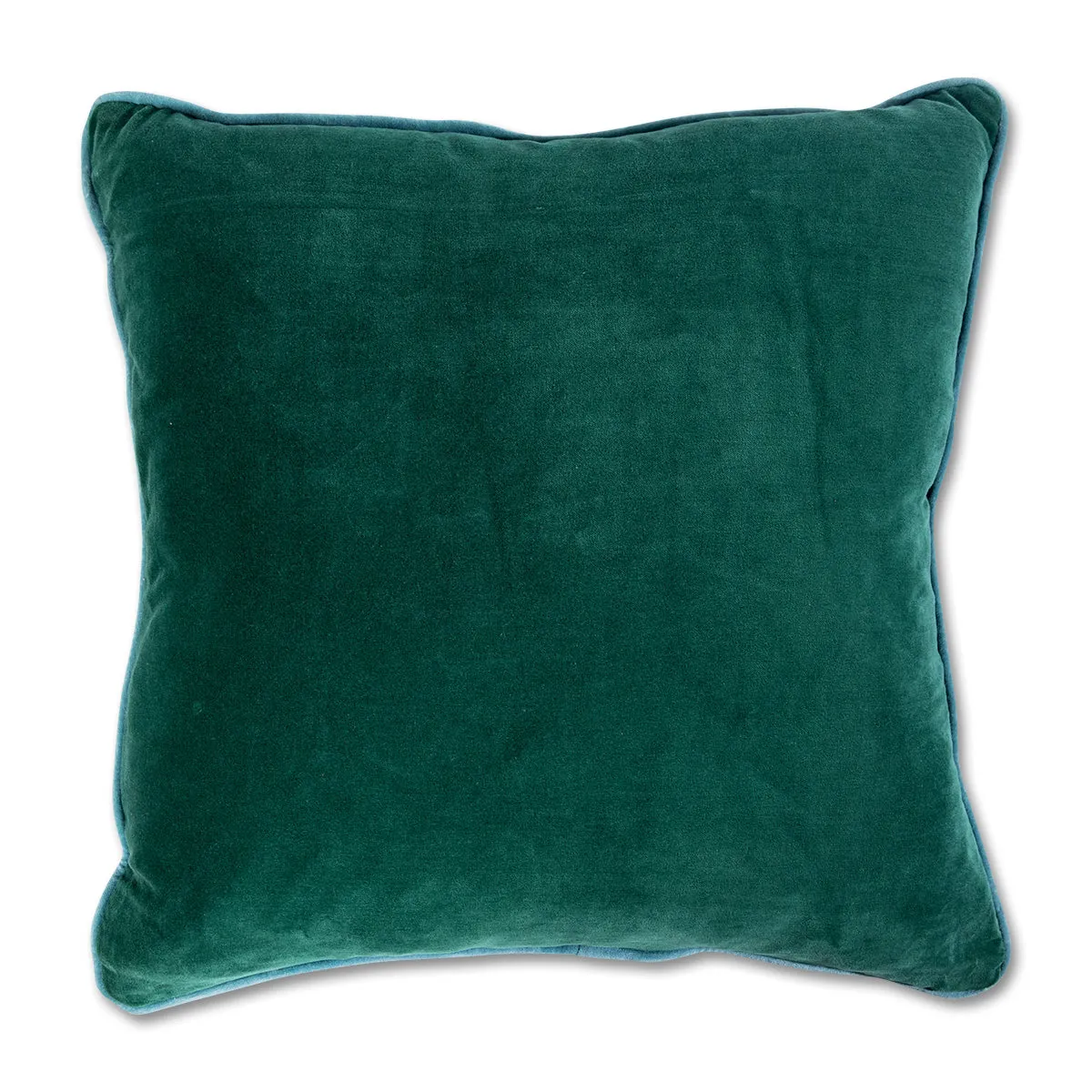 Charliss Velvet Pillow - Green   Aqua