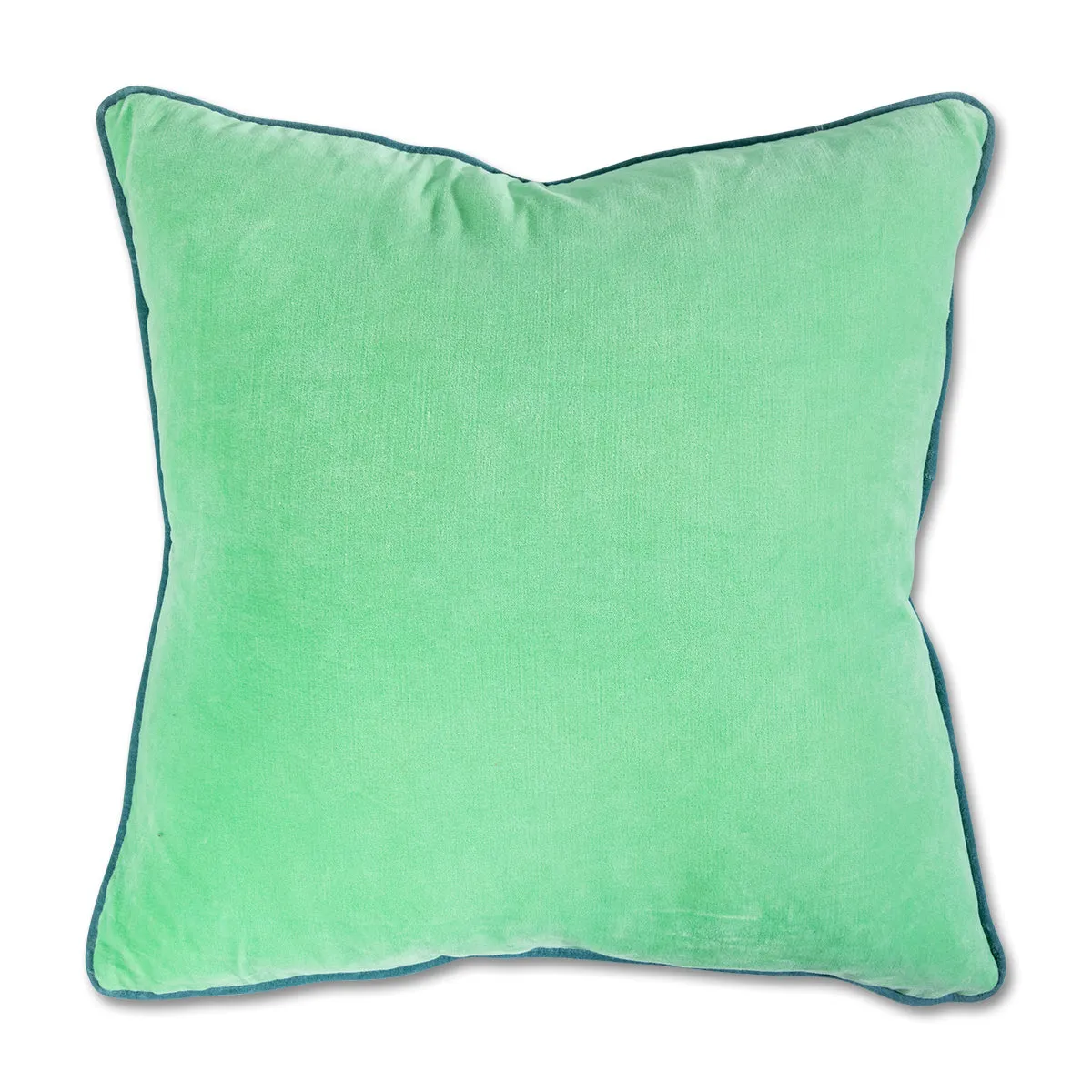 Charliss Velvet Pillow - Mint   Aqua