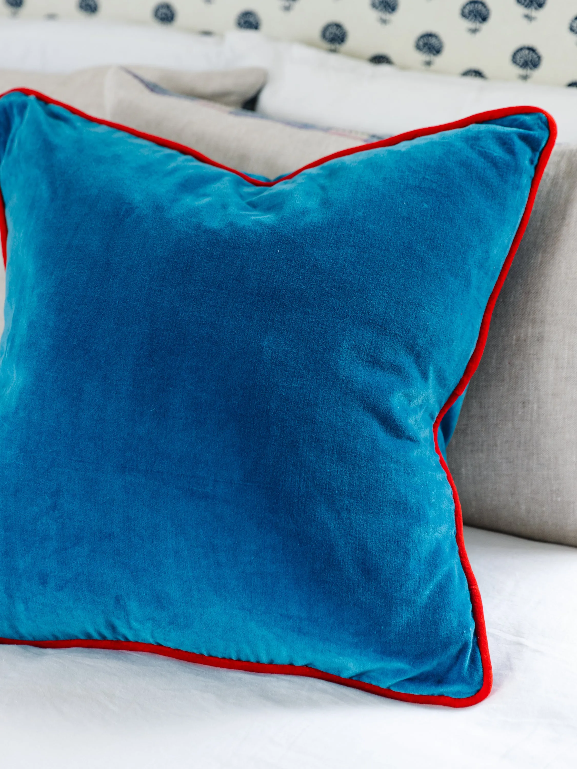 Charliss Velvet Pillow - Peacock   Cherry