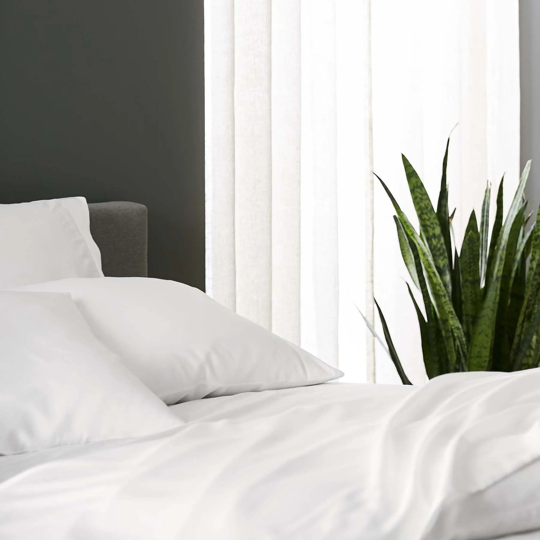 Eucalyptus Sheet Set