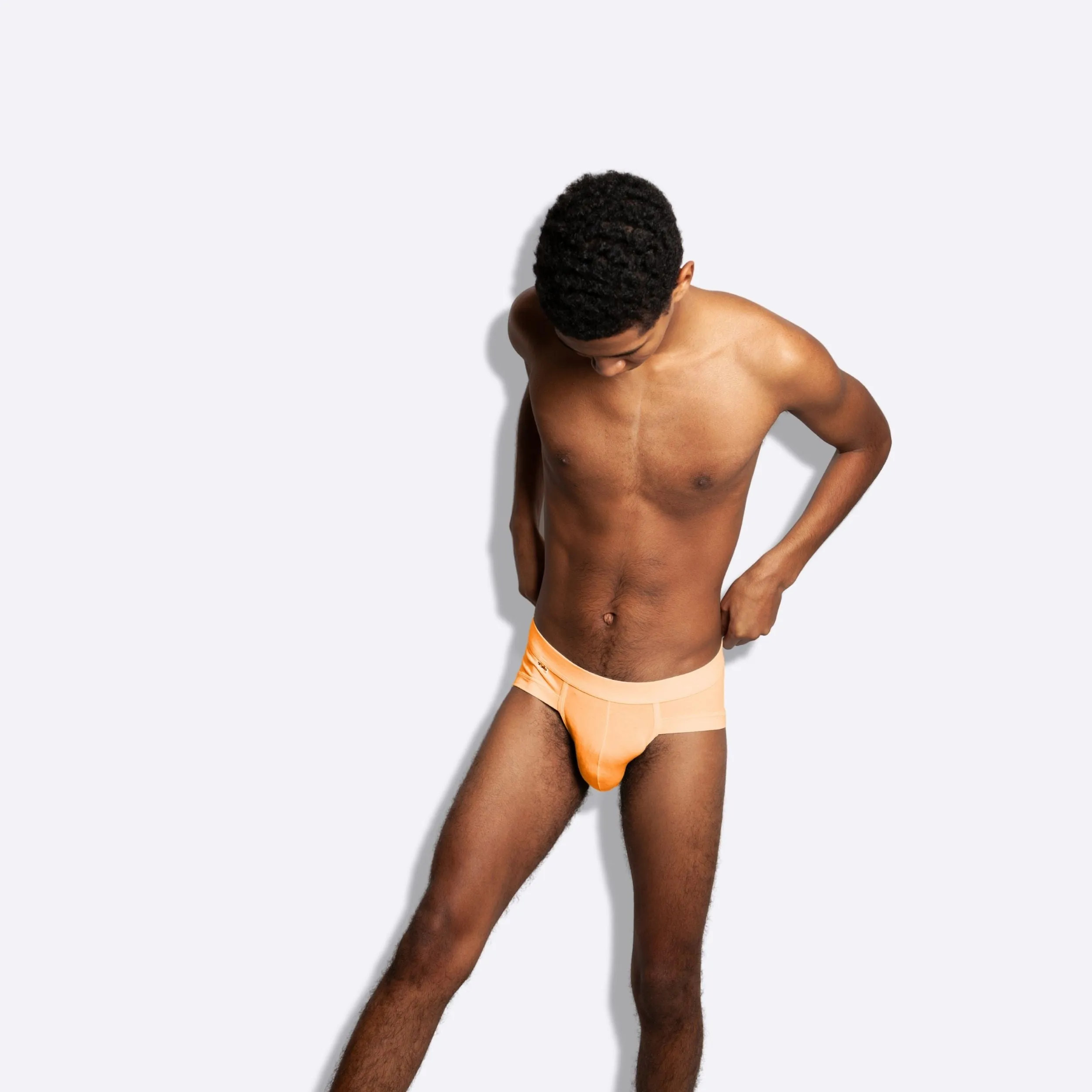 The Citrus Orange Brief