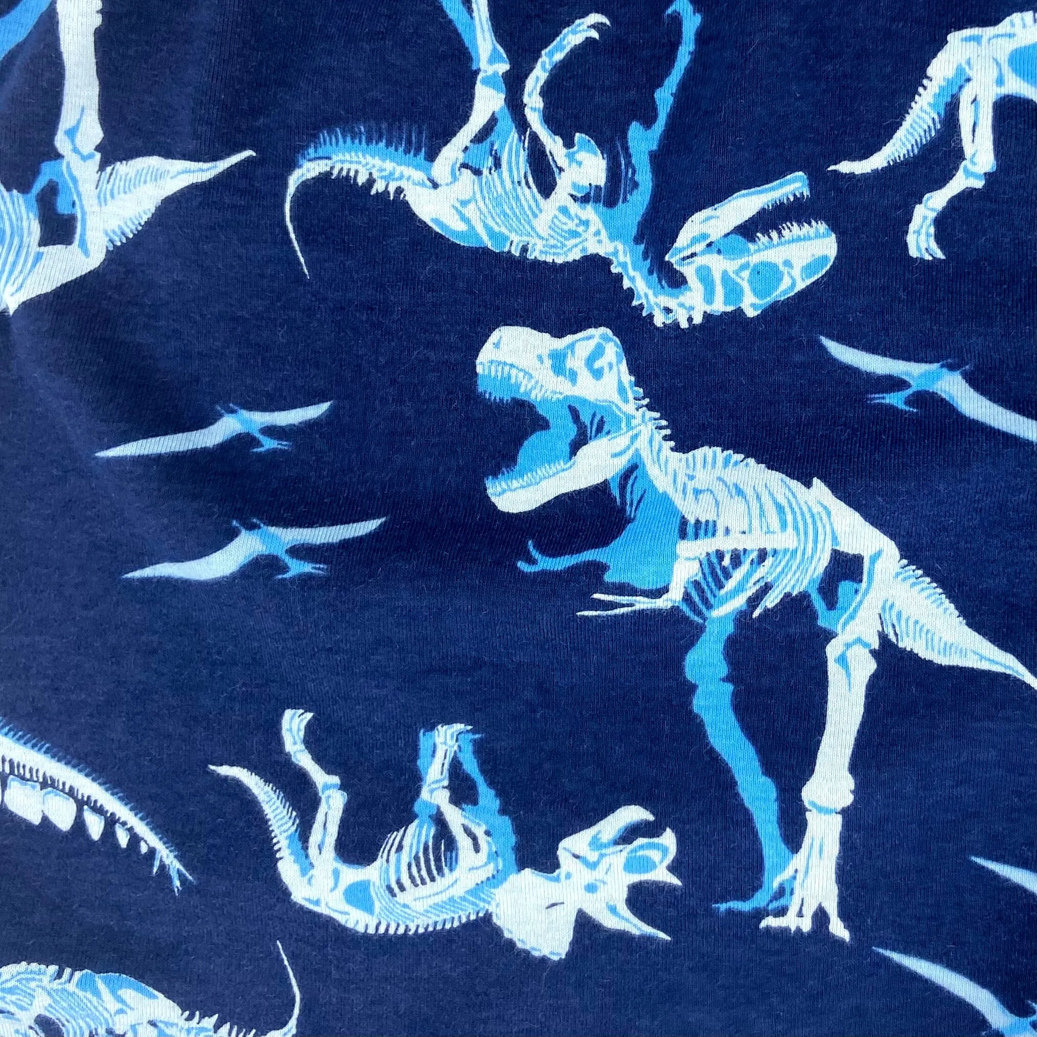 WE'RE DIGGIN THESE DINOSAUR PANTS